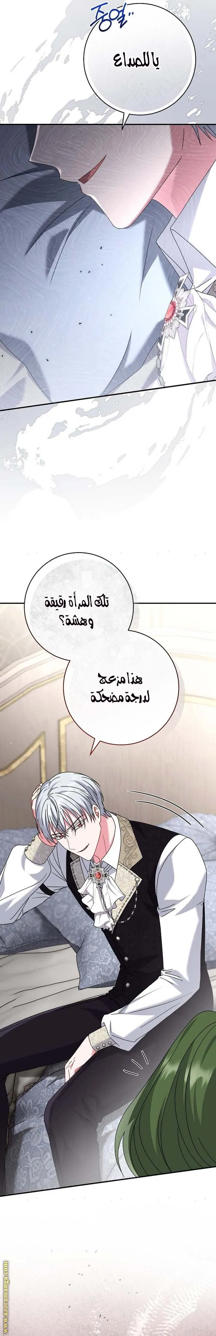 الصفحة 20