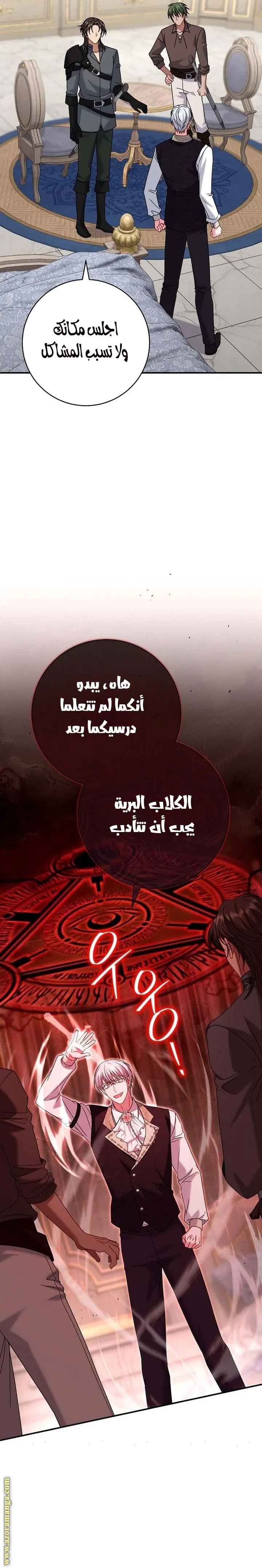 الصفحة 25