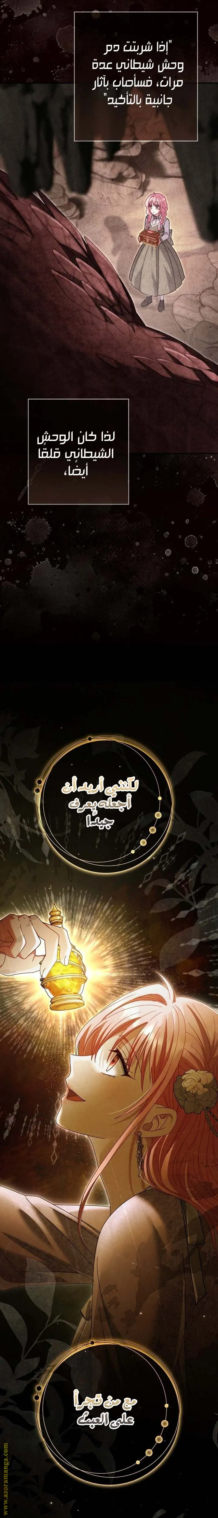 الصفحة 29