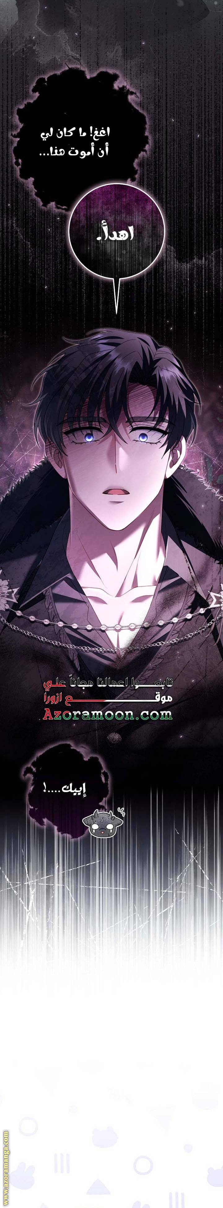 الصفحة 13