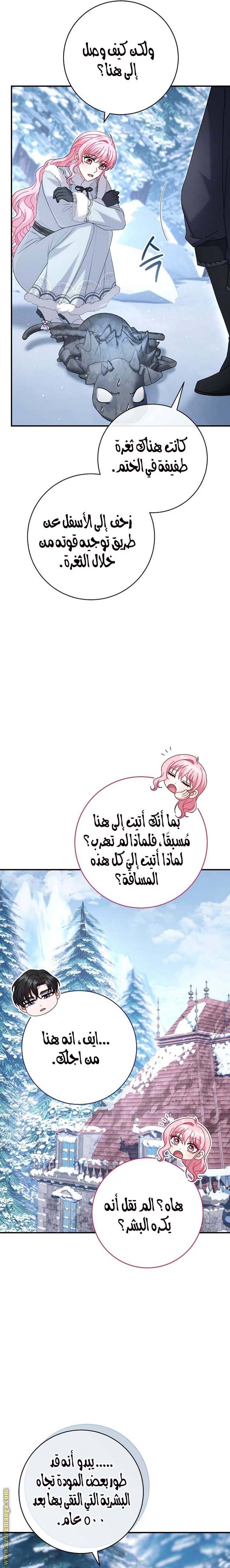 الصفحة 17
