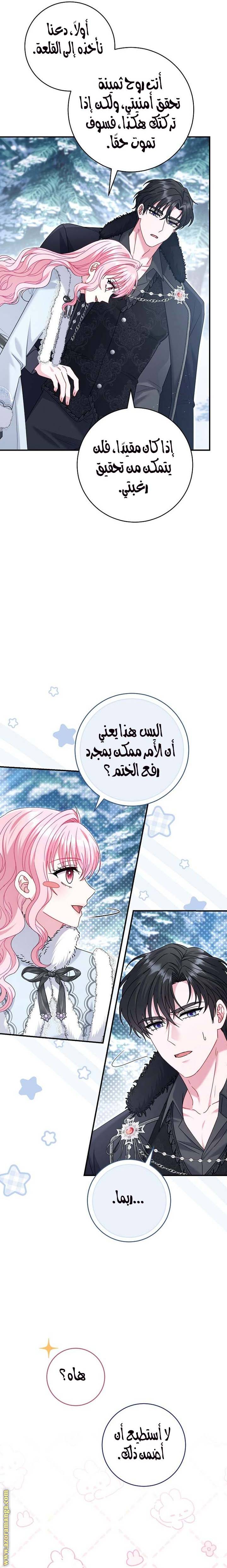 الصفحة 19