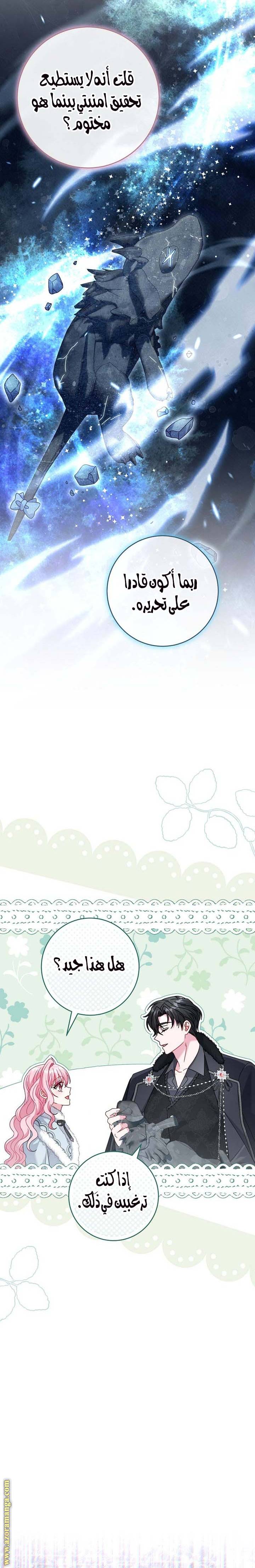 الصفحة 25