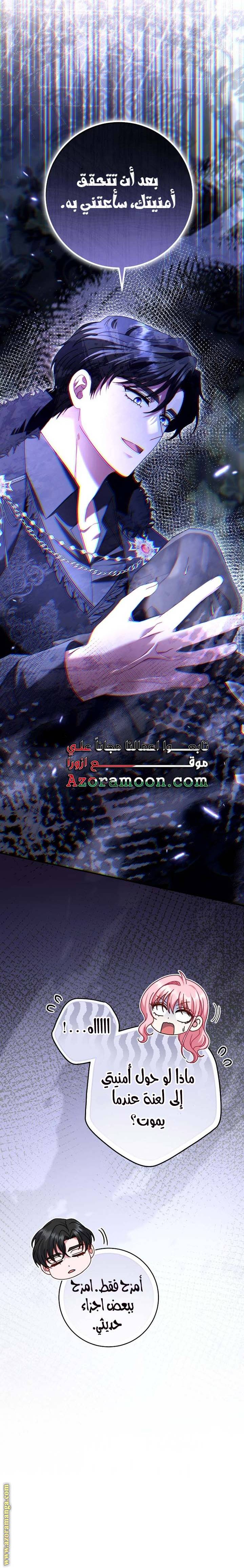 الصفحة 26