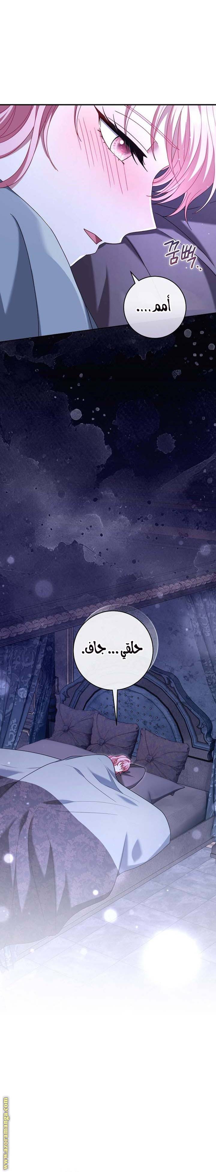 الصفحة 29