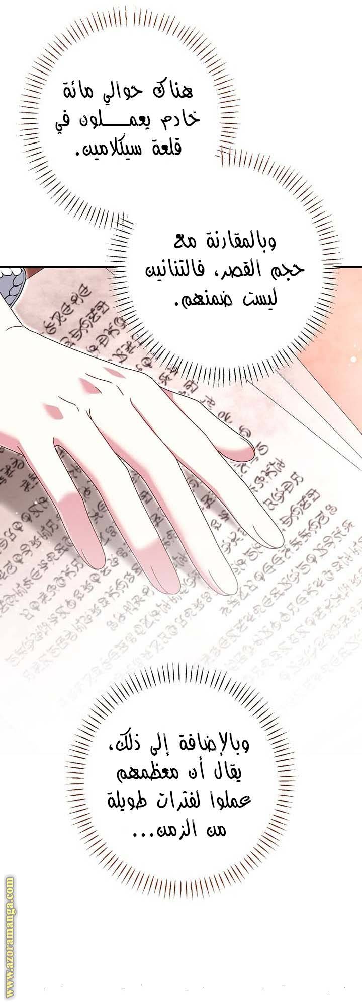 الصفحة 31