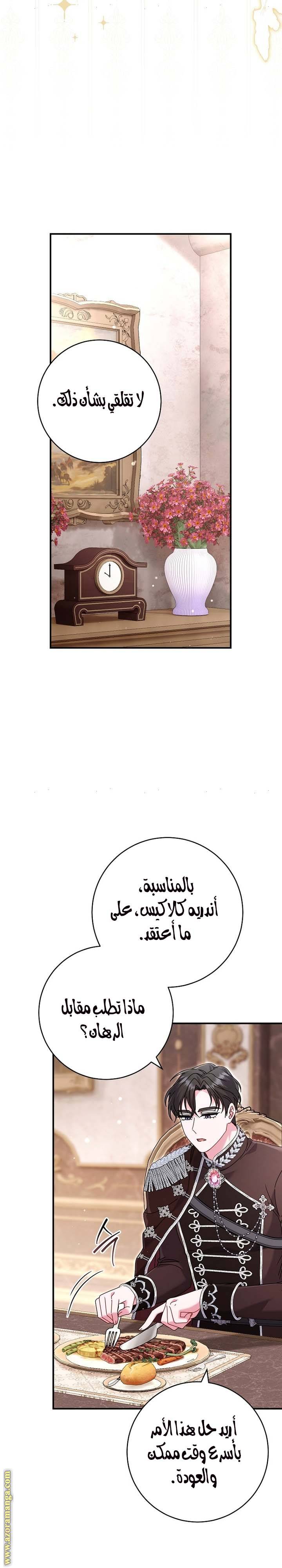 الصفحة 28