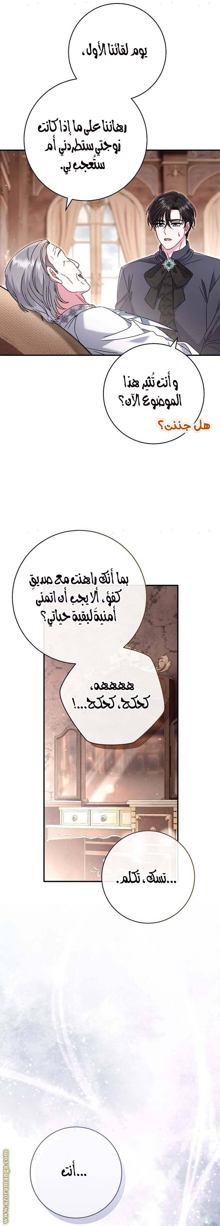 الصفحة 43