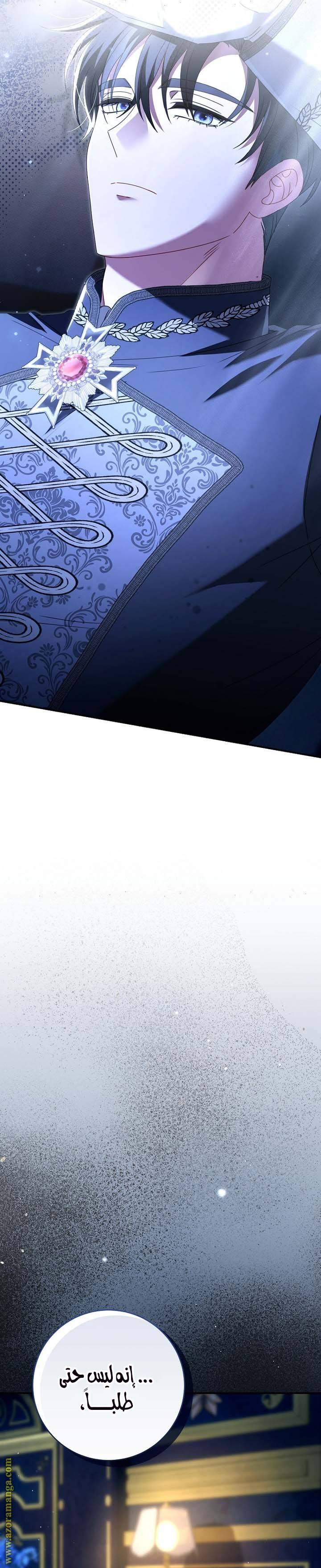 الصفحة 53
