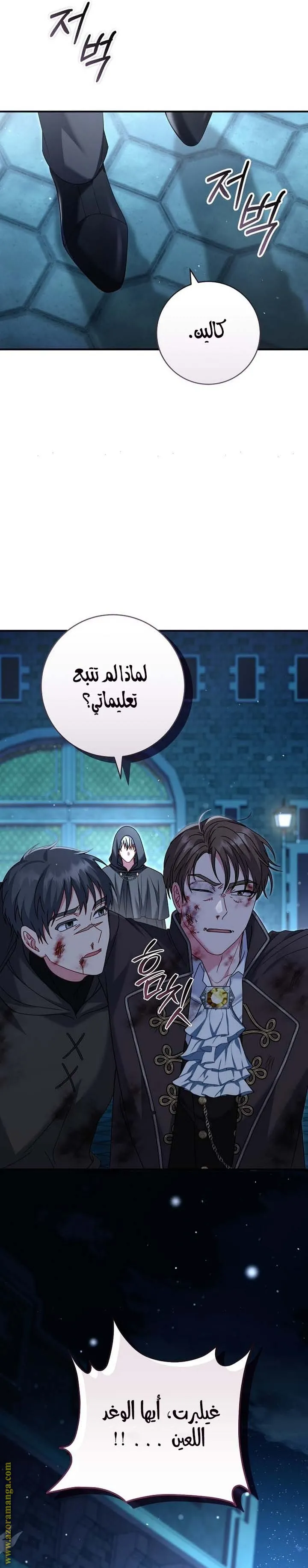 الصفحة 17