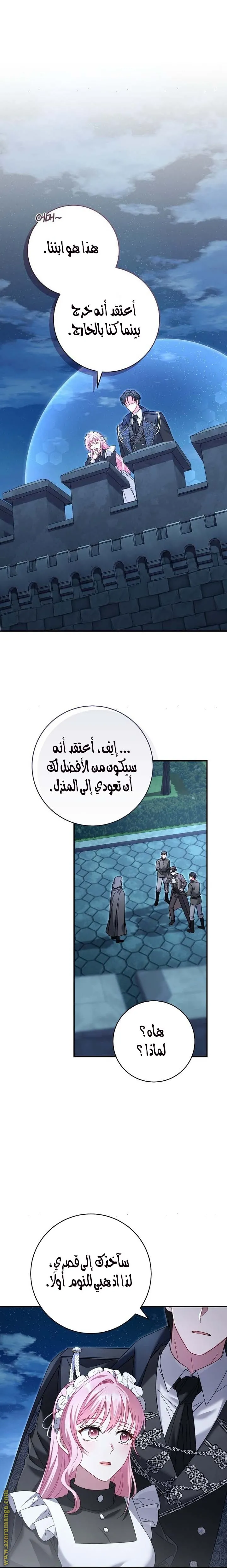 الصفحة 20