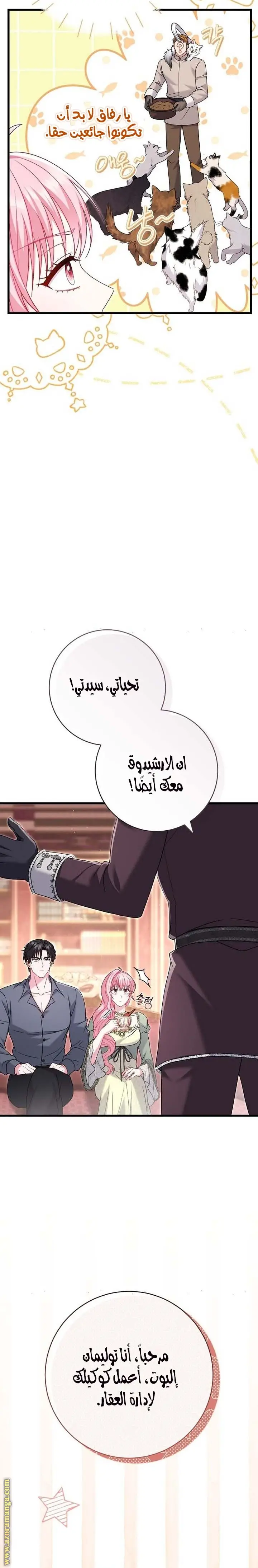 الصفحة 10