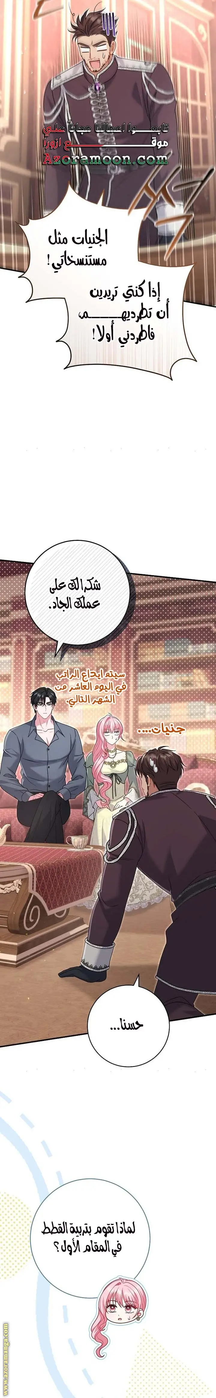 الصفحة 17