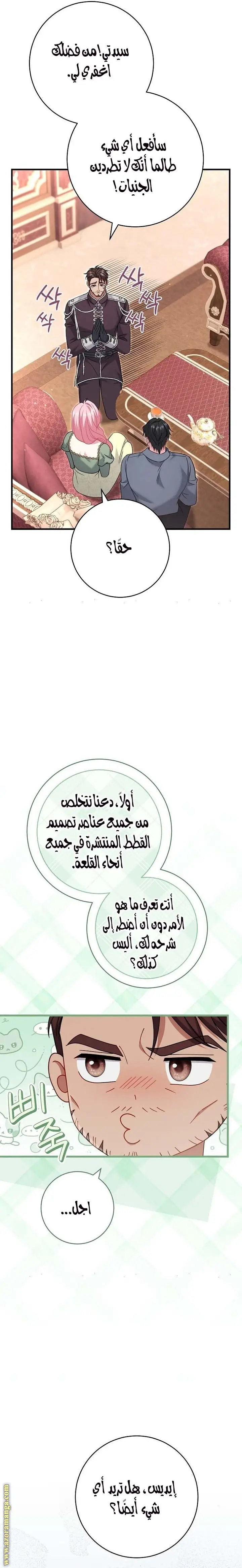 الصفحة 19