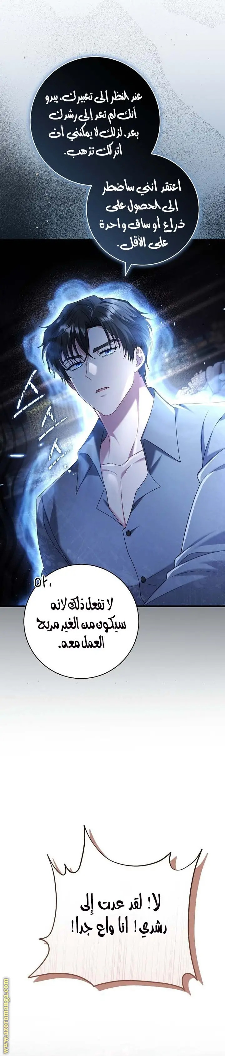 الصفحة 20