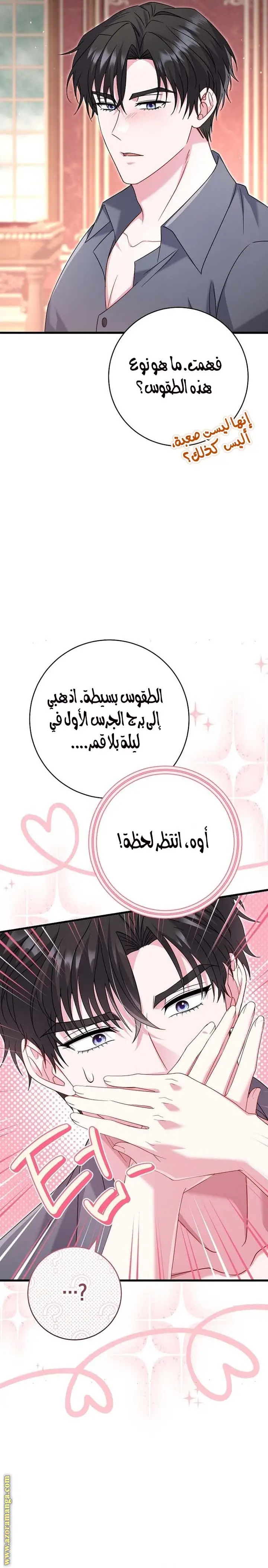 الصفحة 25