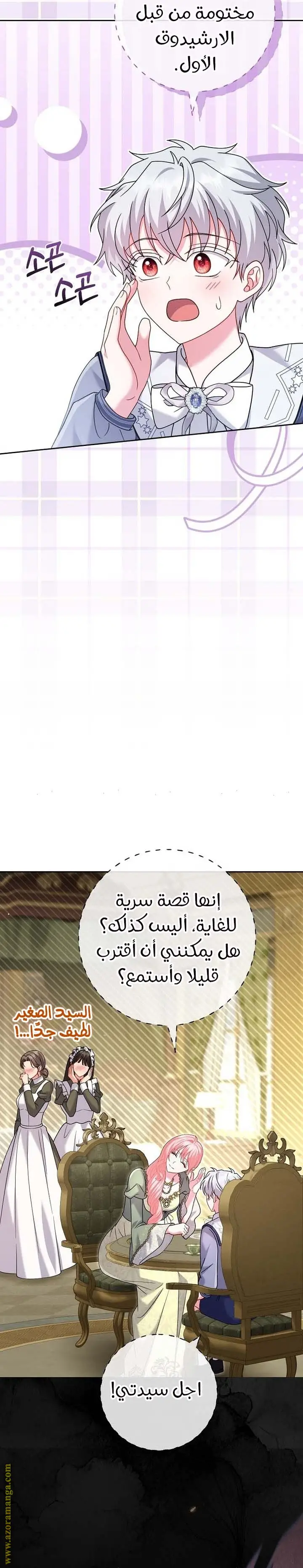 الصفحة 29