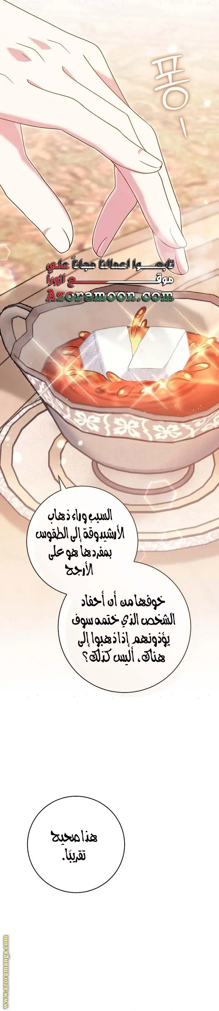 الصفحة 41