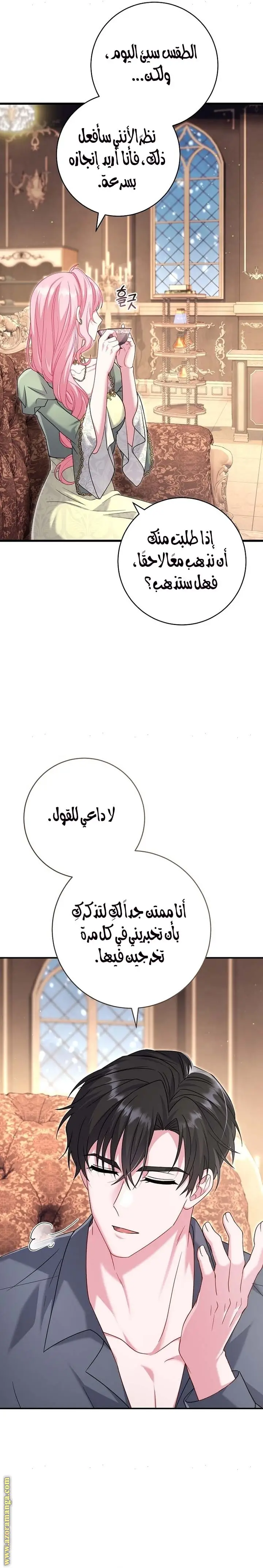 الصفحة 42