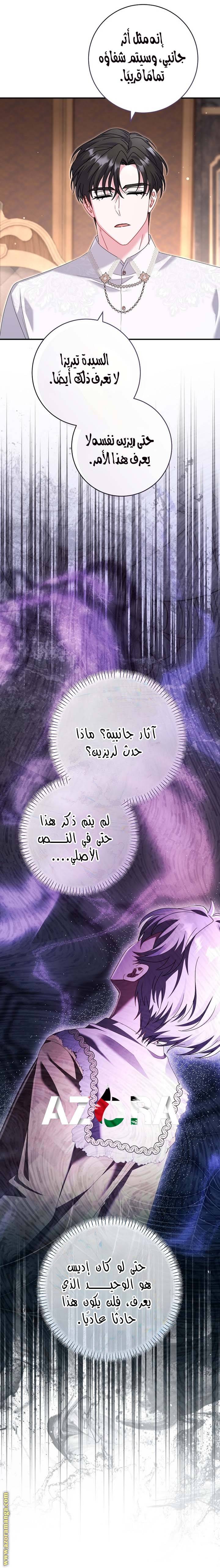 الصفحة 25