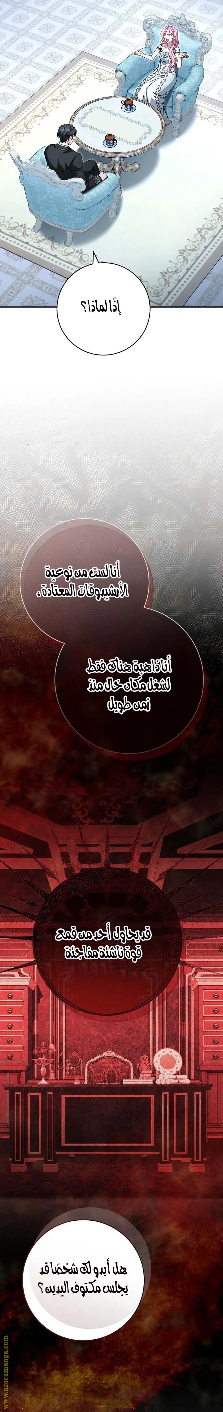 الصفحة 19