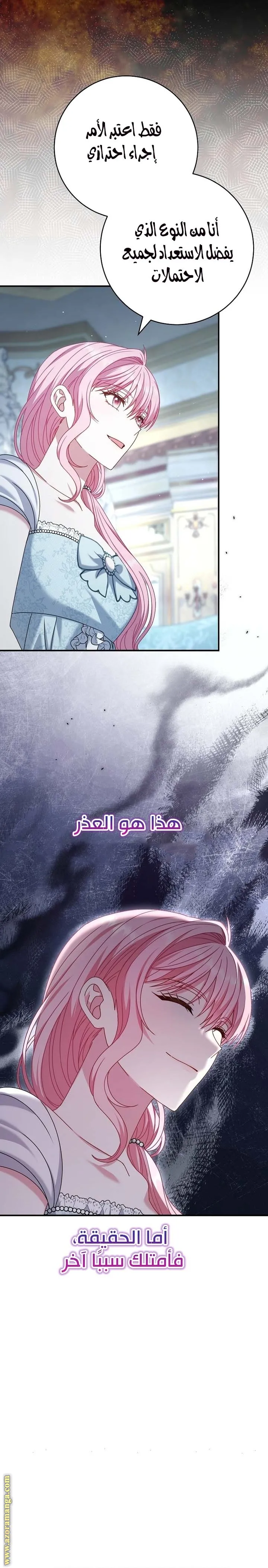 الصفحة 20