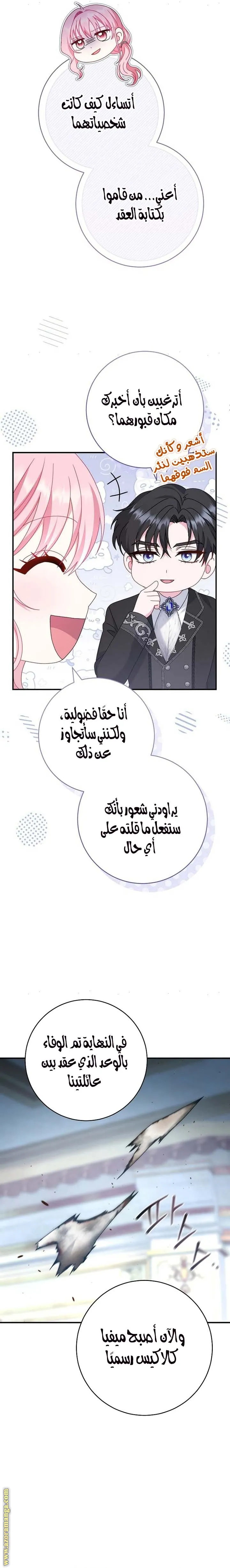 الصفحة 31