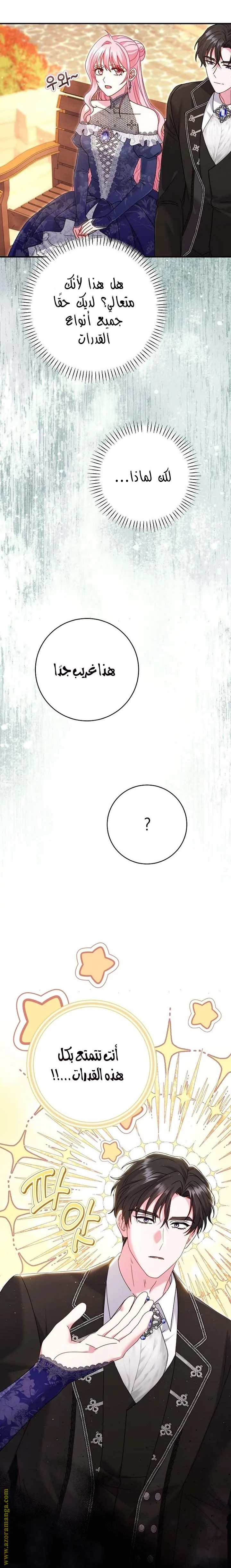 الصفحة 17
