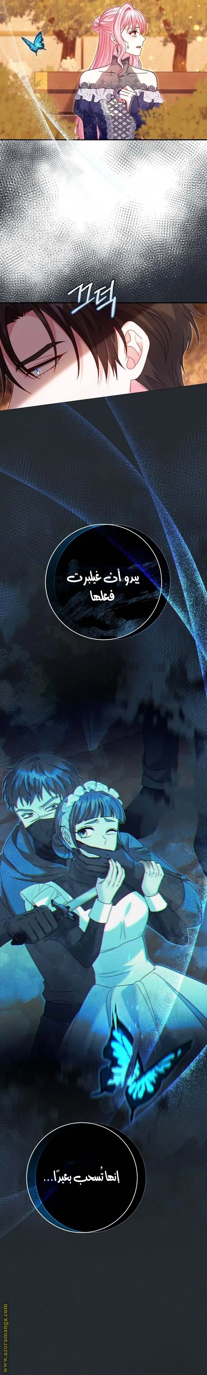 الصفحة 26