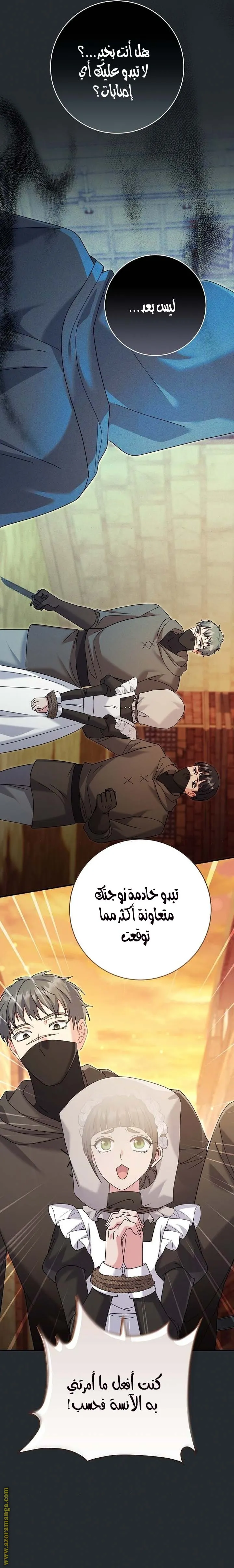 الصفحة 27