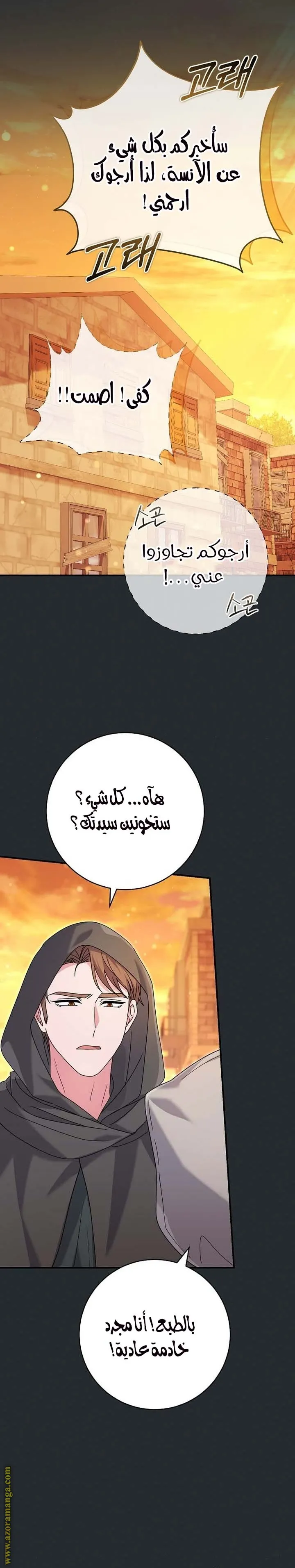 الصفحة 29