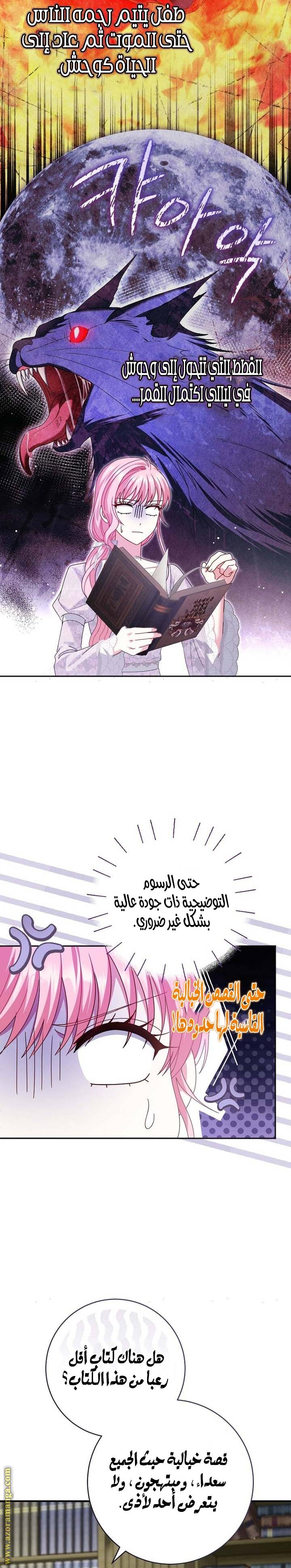 الصفحة 26