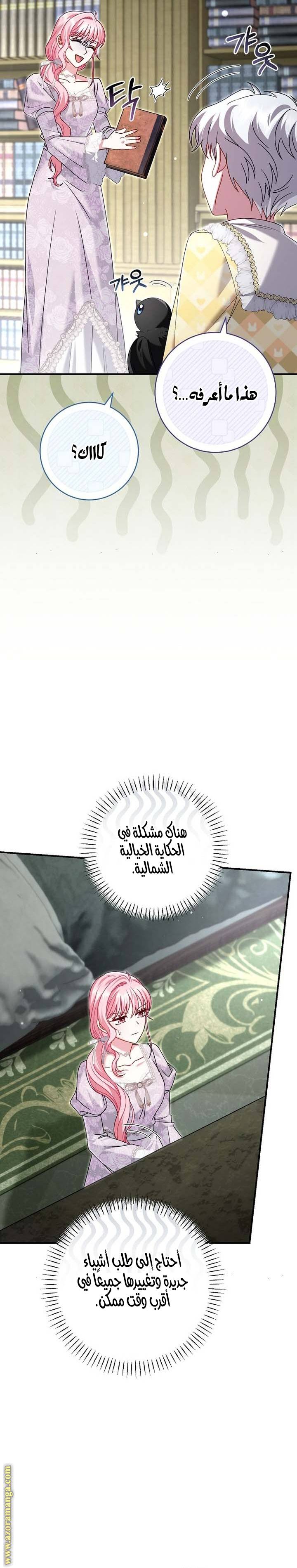 الصفحة 27