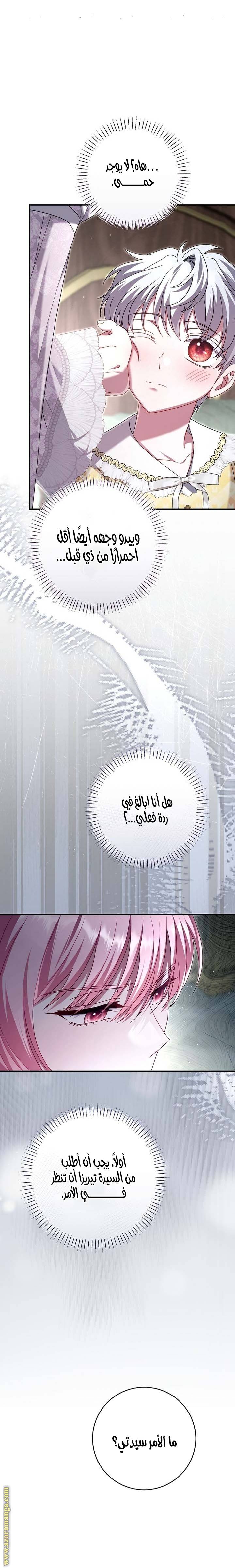 الصفحة 29