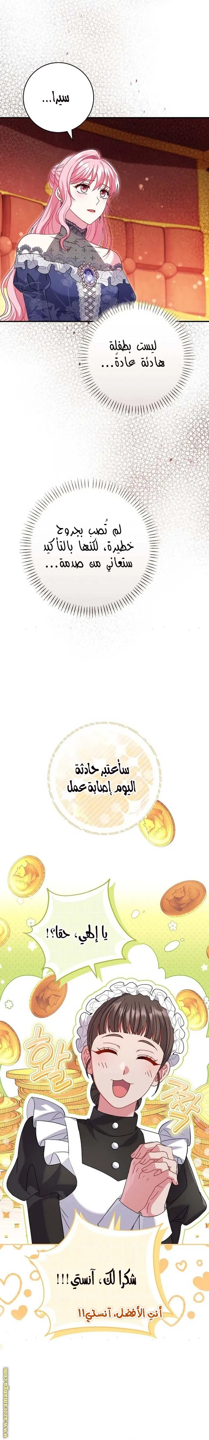 الصفحة 17