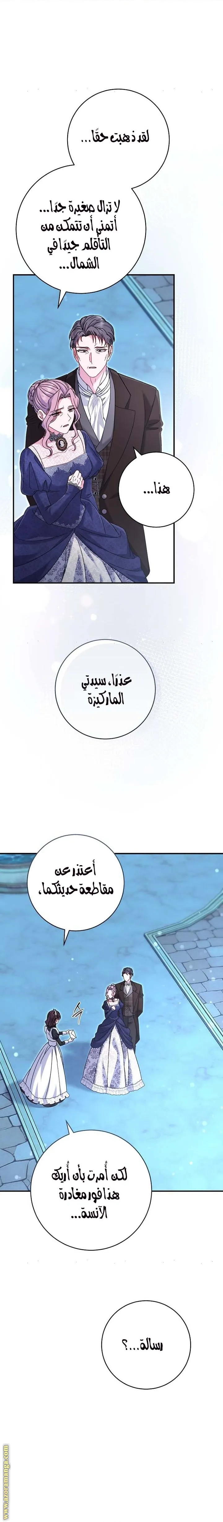 الصفحة 25
