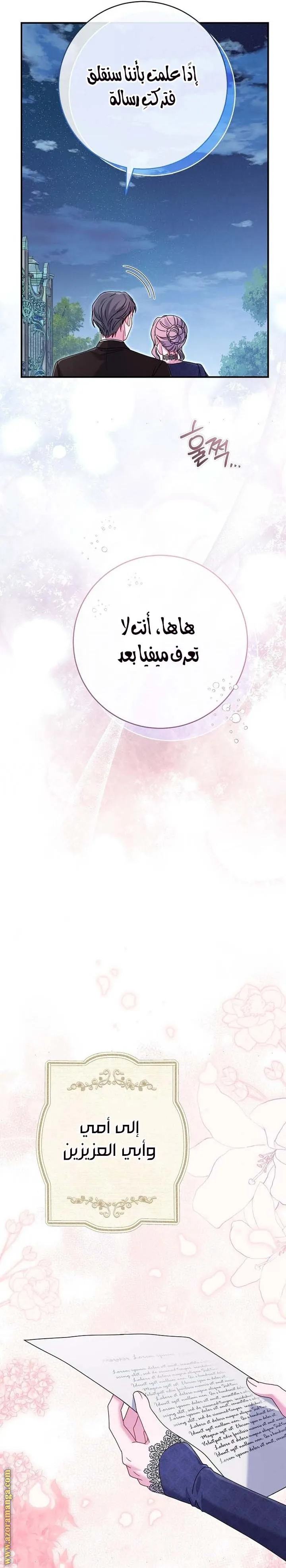 الصفحة 26