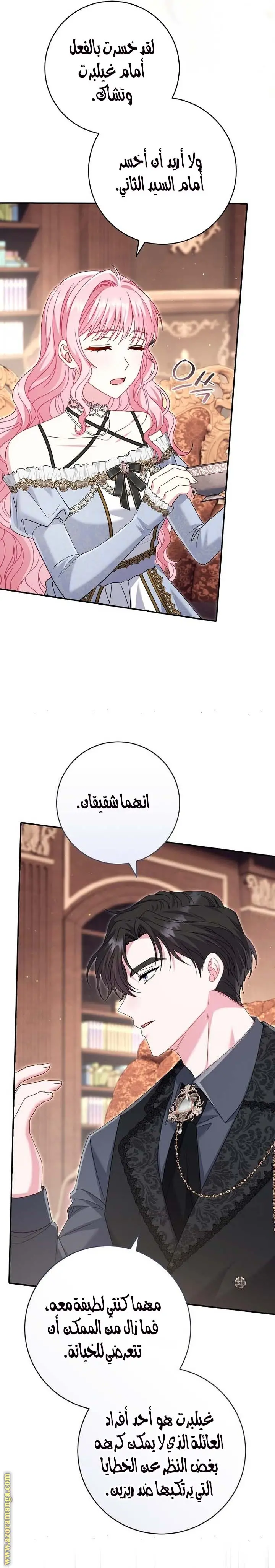 الصفحة 17