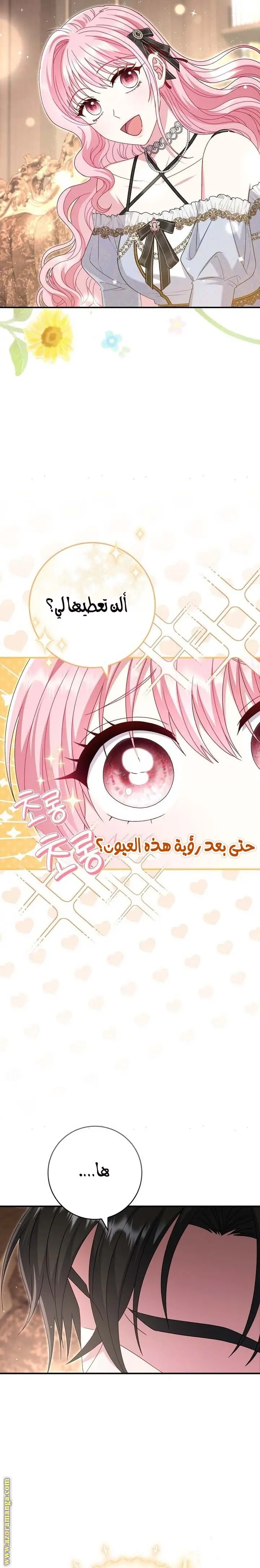 الصفحة 25