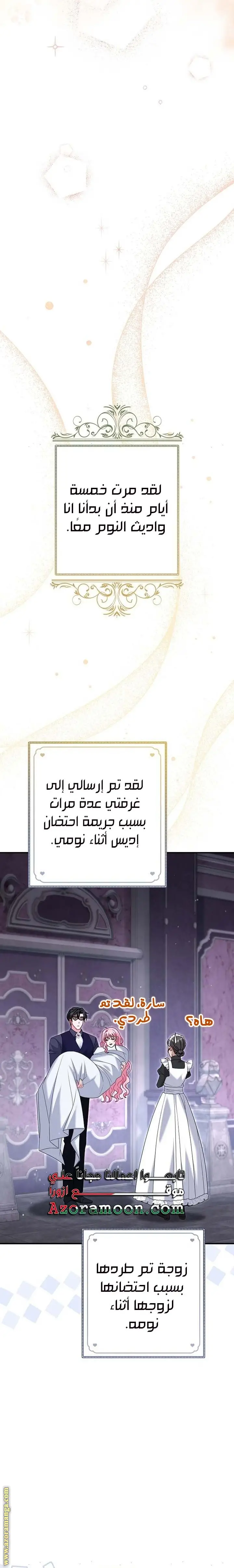 الصفحة 27