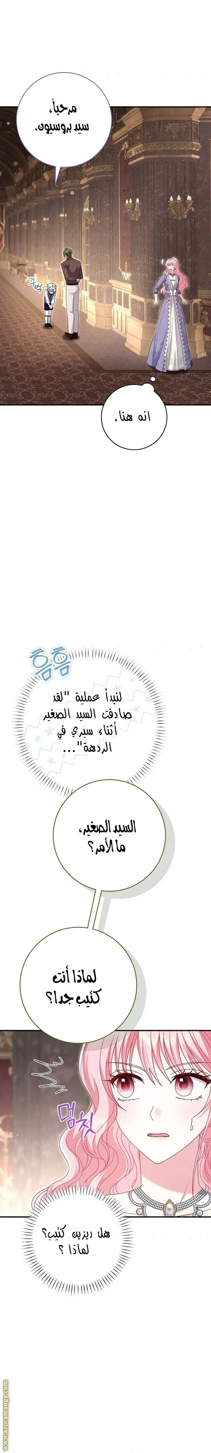 الصفحة 30