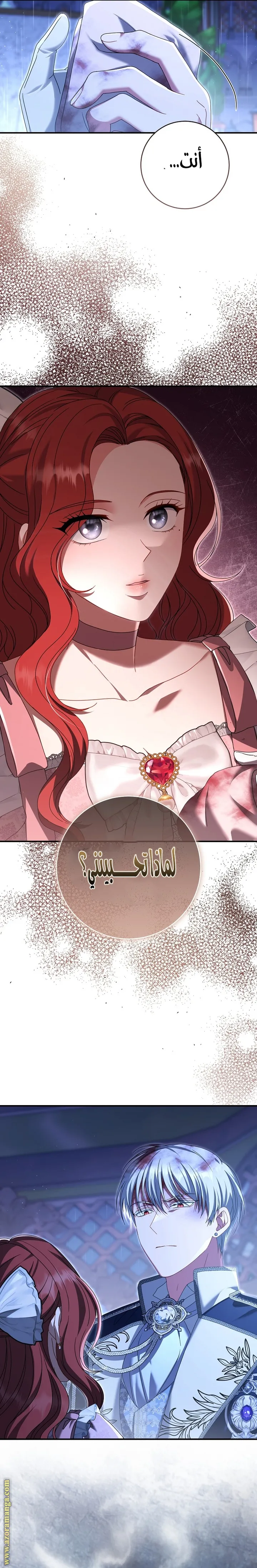 الصفحة 19