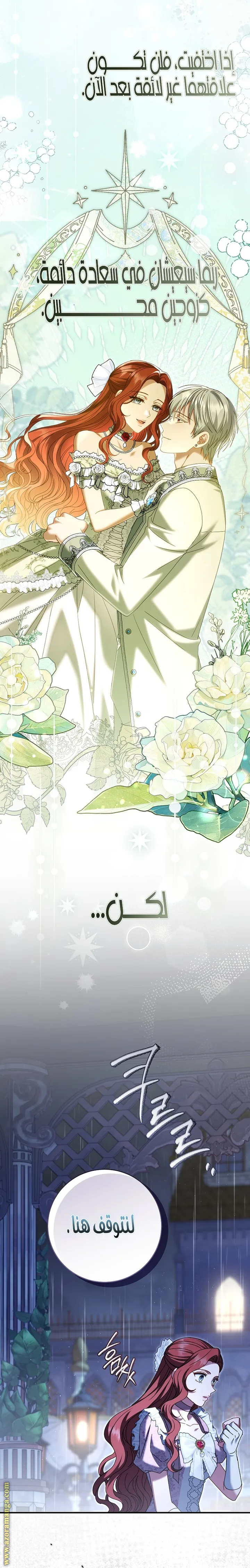 الصفحة 21