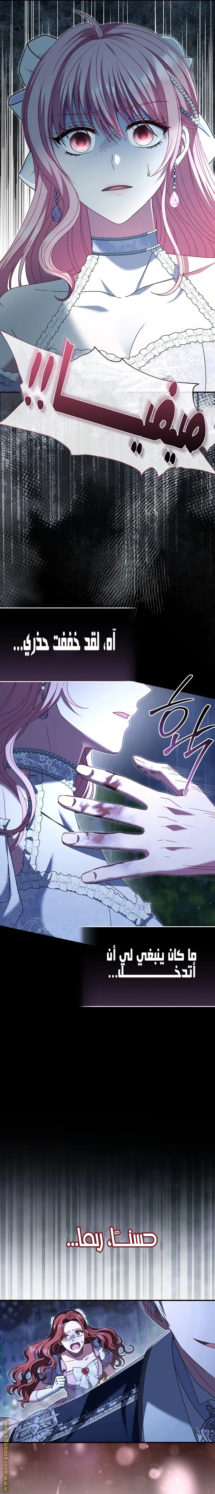 الصفحة 25