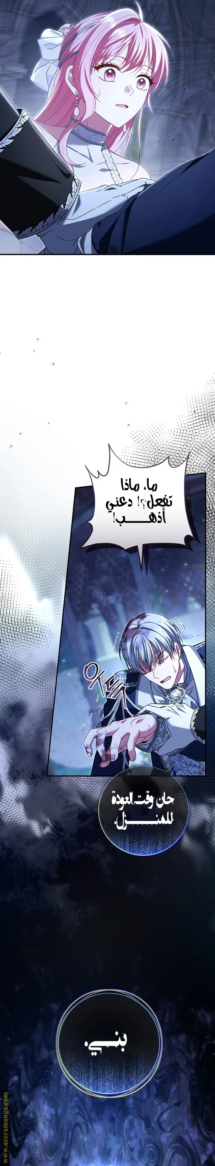 الصفحة 27