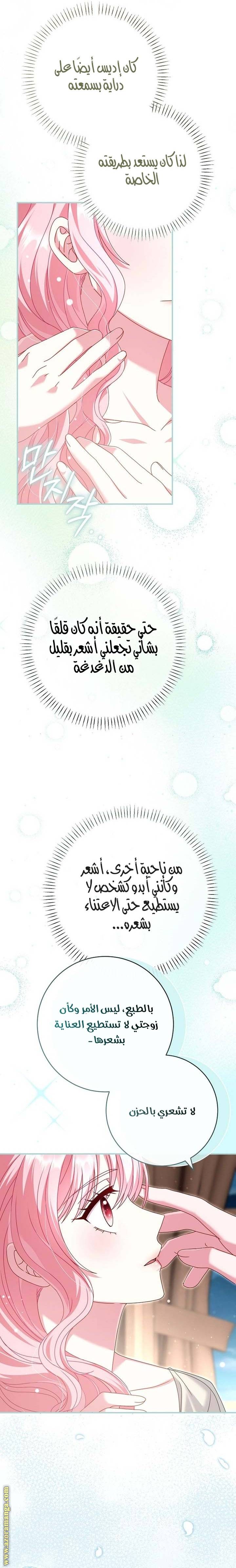 الصفحة 17
