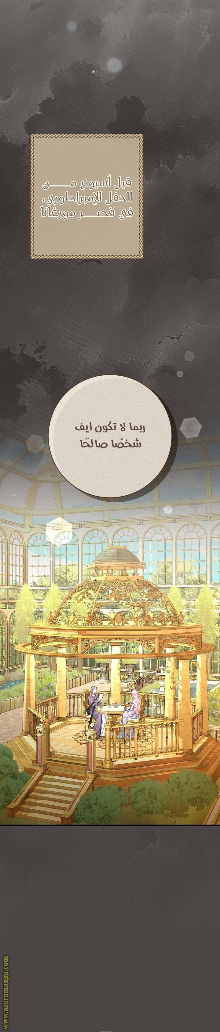 الصفحة 20