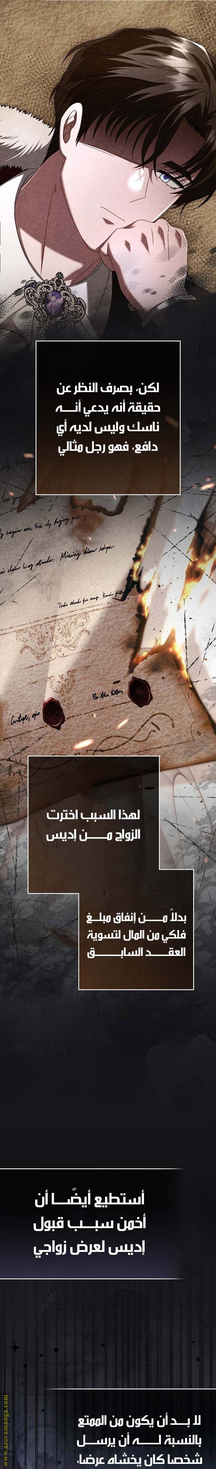 الصفحة 26