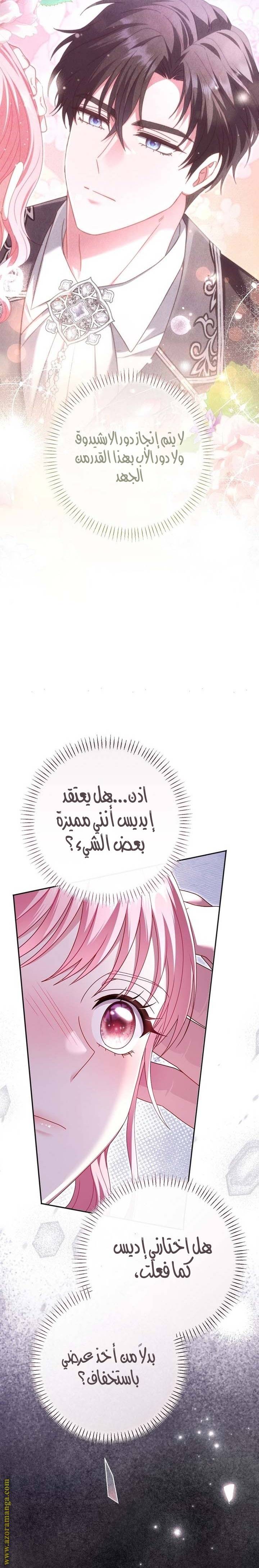 الصفحة 29