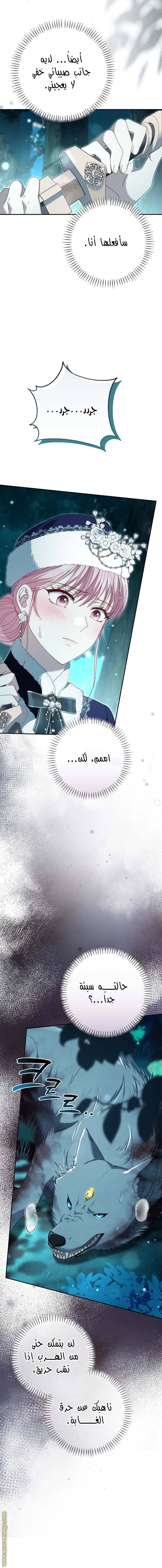 الصفحة 8